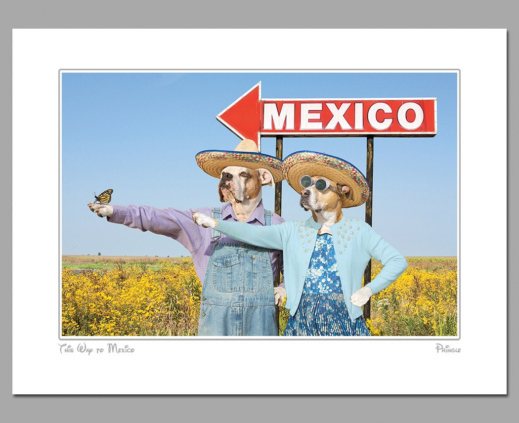 This Way to Mexico, 11 X 14 matted photograph of boxer "dog people" giving directions to a monarch butterfly