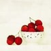 Lychees - Summer Fruit Lychee Litchi Laichi nursery deco red rustiy exotic kitchen home decor wall decal tropic Fine Art Print 8x8