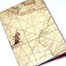 Passport Cover - Vintage Map