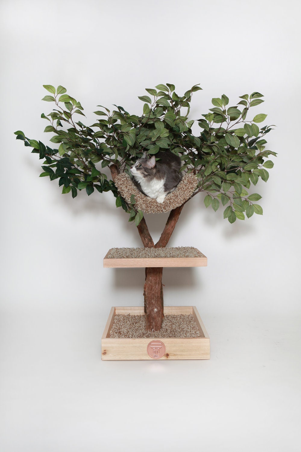 Seedling Cat Tree