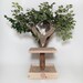 Seedling Cat Tree