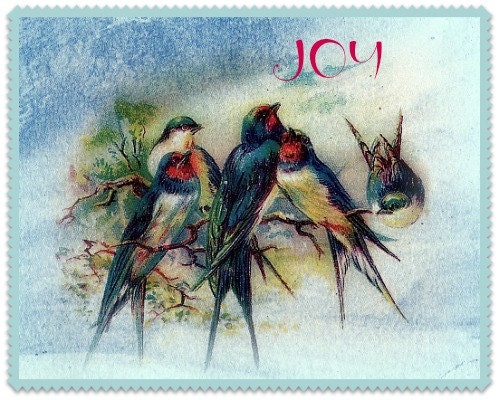 Christmas Photograph Card Bird Family Joy