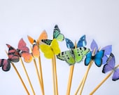 Itsy Bitsy Mini Edible Butterflies - Rainbow Assortment set of 48 - for Cake Decorating and Cupcake Toppers - SugarRobot