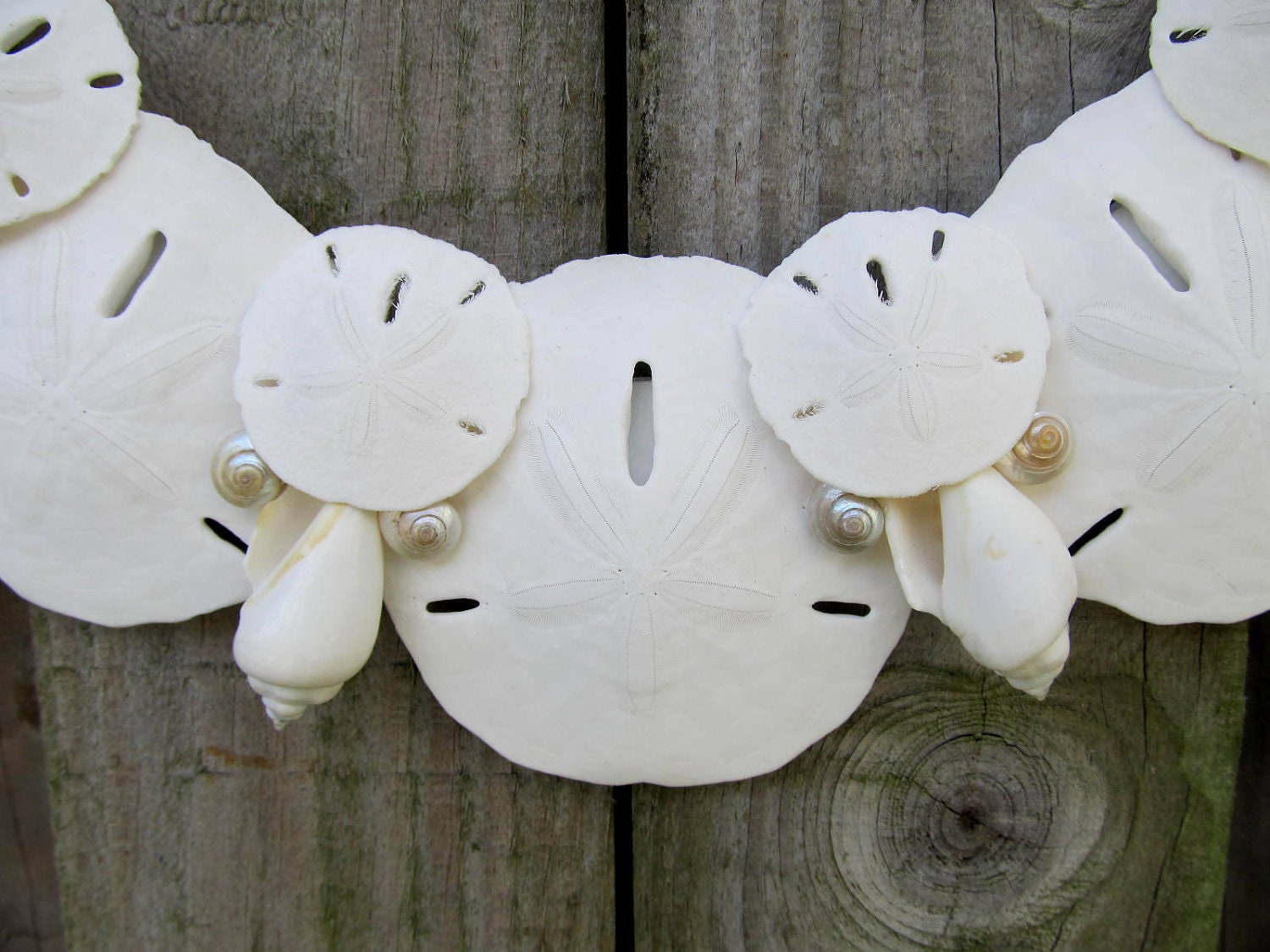 Beach Decor Shabby Chic Sweet Sand Dollar and Shell Wreath