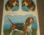 Vintage Unused Sport-Stik by Meyercord - 11-J-Beagle