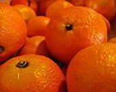 Wild Sweet Orange Essential Oil 5 ML wildcrafted unsprayed citrus oil from USA