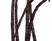 All Natural Vanilla Almond Body / Massage Oil 1 ounce