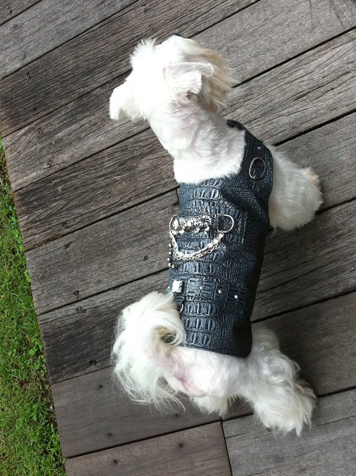 Faux Leather Croc Bling Boy Dog or Girl Dog Harness