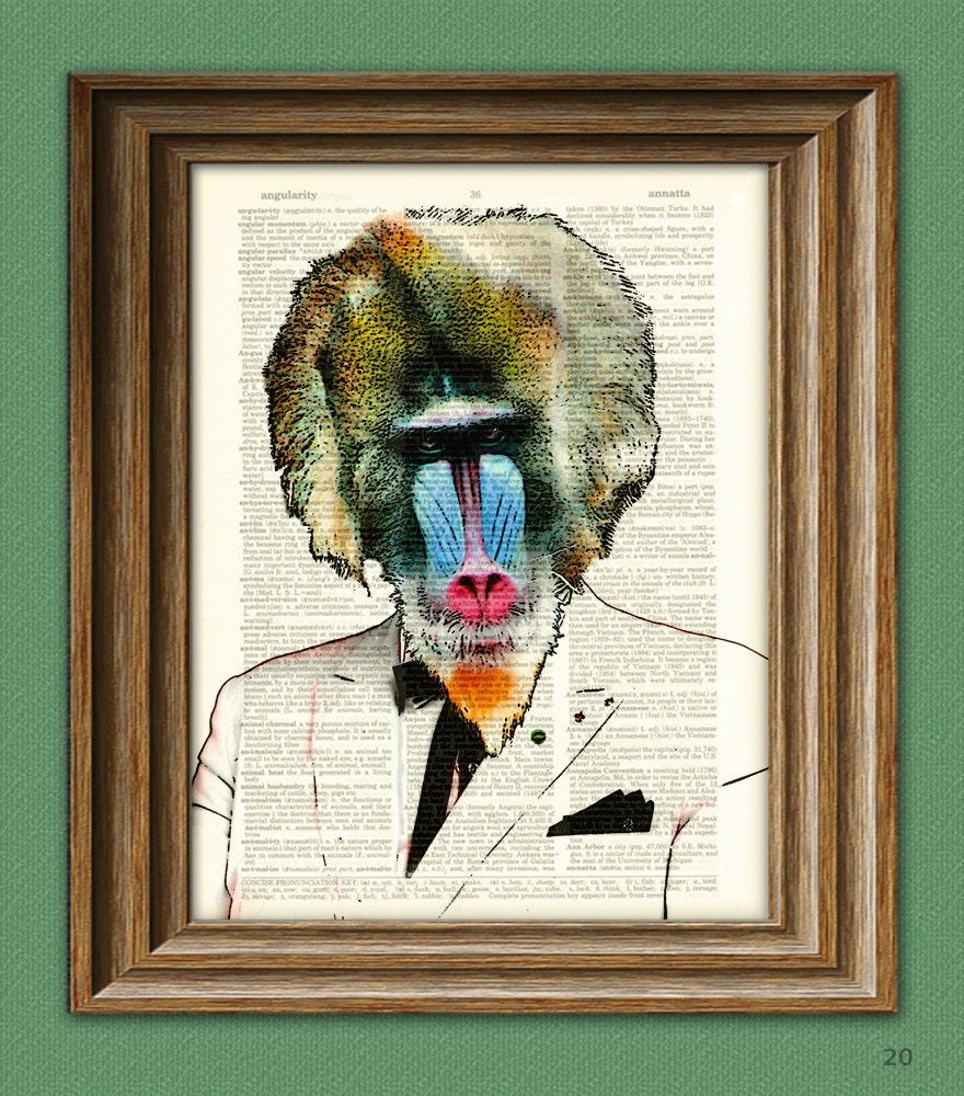 Southern Gentleman Mandrill Baboon in a white SUIT illustration beautifully upcycled dictionary page book art print