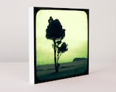 Sometime Ago - Large size photo block