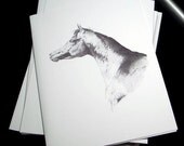 Note cards Arabian Horse Head Art Stationery, Equine Artwork Greeting Thank You Blank Card  - Set of 6 w/ Envelopes