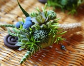 Boutonnieres. Fern shoots, succulents, zebra hiawathia, Oregon grape, burlap wrap.