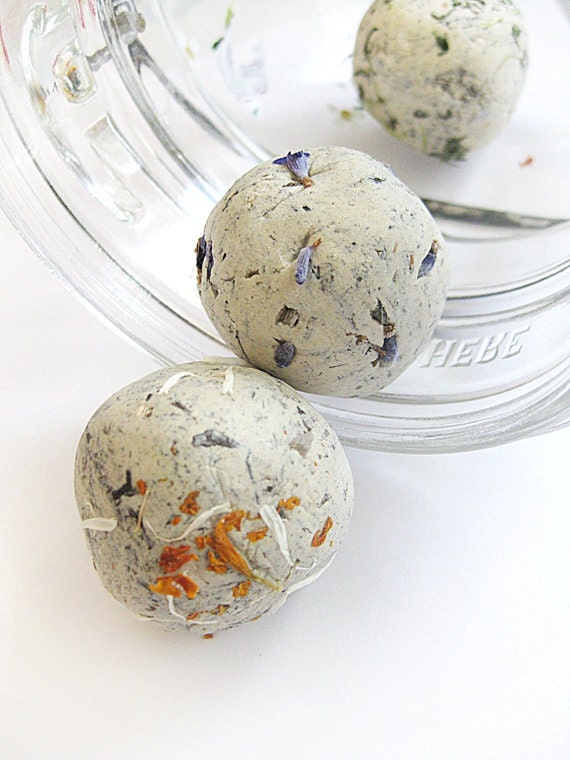 Organic Seeds 12 Seed Bomb Balls Hummingbird Butterfly Mix Eco Friendly Wedding Favors Gifts under 20  Gardening