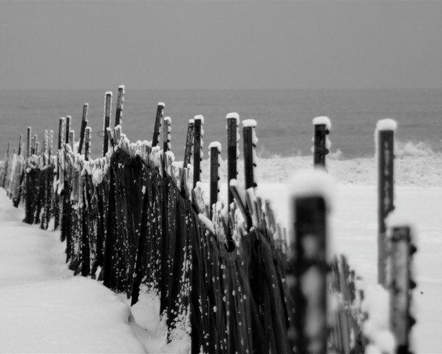 Snow Fence