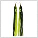 Giant Squid Tassel Earrings - neon/black
