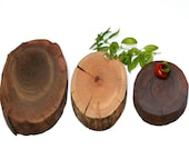 Cutting Board Hostess Gift set of 3 Tree Slice Walnut Pecan Ready to Ship