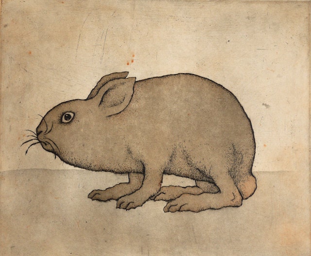 Mountain hare