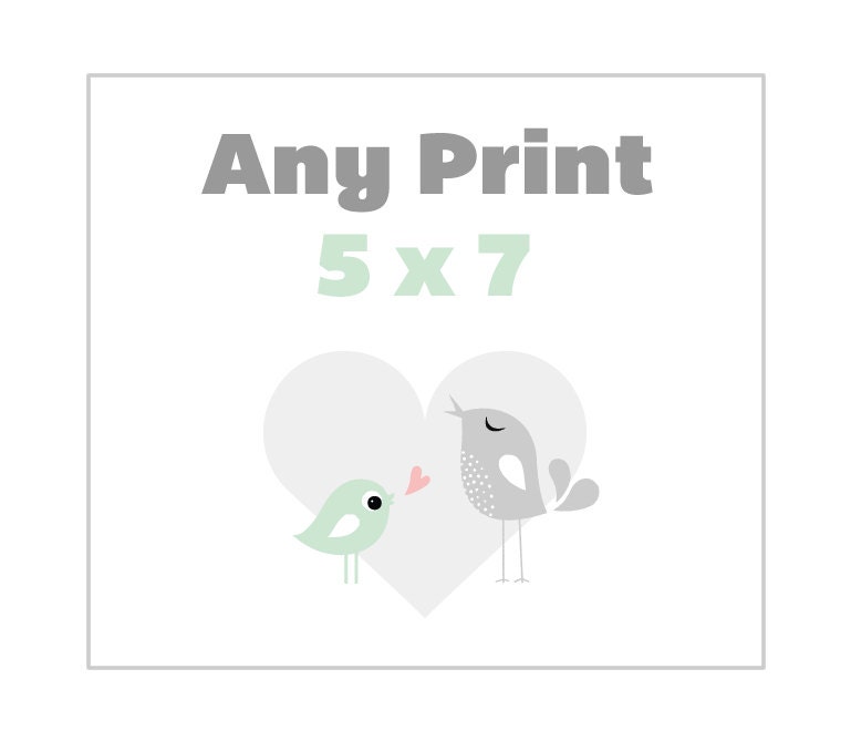 Any 5 x 7 Poster from the Shop