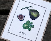 Fig, Fall Fruit Autumn with French Text. Deep Purple Eggplant Color. Recycled Series Watercolors Greeting Cards - Free US Shipping