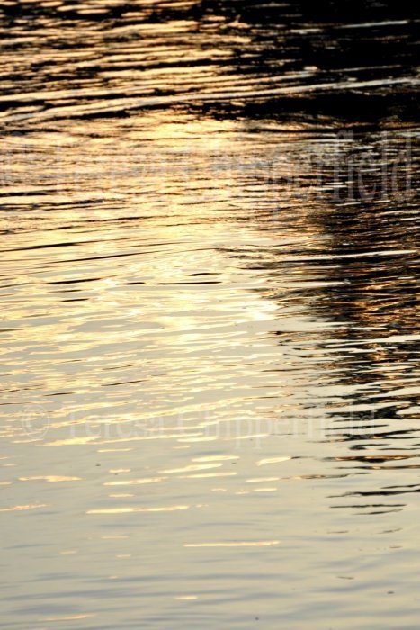 Golden Glow - 8 x 12 Fine Art Digital Photo Print -The Beautiful Willamette River Oregon as the Sunsets reflecting across the rippling wate