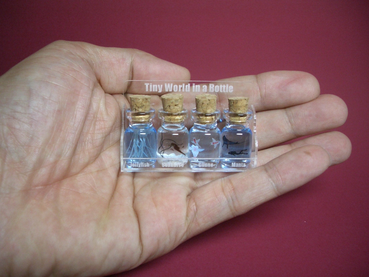 Four kinds of sea animals are in a tiny bottle in a small cute case