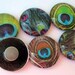 Peacock Feather Magnets - Set of Six Glass Magnets - 1 Inch Domed Glass Circles