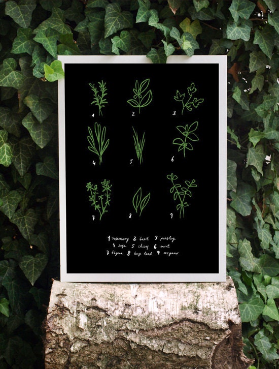 Kitchen Art Print Herbs 11"x15 Botanical Chart Mediterranean Black Garden - archival fine art giclée print