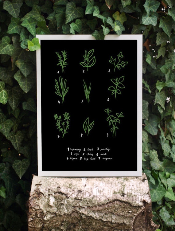 Kitchen Art Print Herbs 11"x15 Botanical Chart Mediterranean Black Garden - archival fine art giclée print