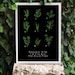 Kitchen Art Print Herbs 11"x15 Botanical Chart Mediterranean Black Garden - archival fine art giclée print