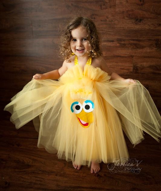 Big Bird Elmo Oscar Cookie Monster Abby Cadabby Inspired Costume Tutu Dress for dress up playtime or parades or pageants
