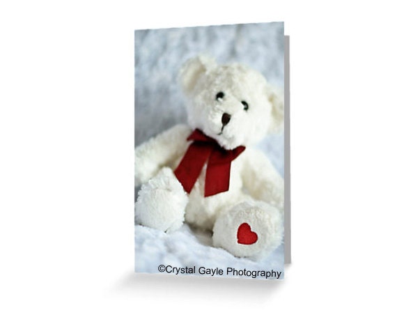 Teddy Bear Valentines Baby Shower Greeting Card Blank Note Card of Fine Art Photograph Just Because Thinking Of You Get Well Soon