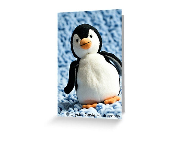 Baby Penguin Toddler Greeting Card Blank Note Card of Fine Art Photograph New Baby Birthday