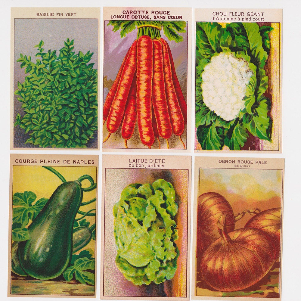 24 Vintage French Vegetable Seed Packet Labels (Set B)