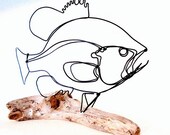 Sunfish Wire Sculpture