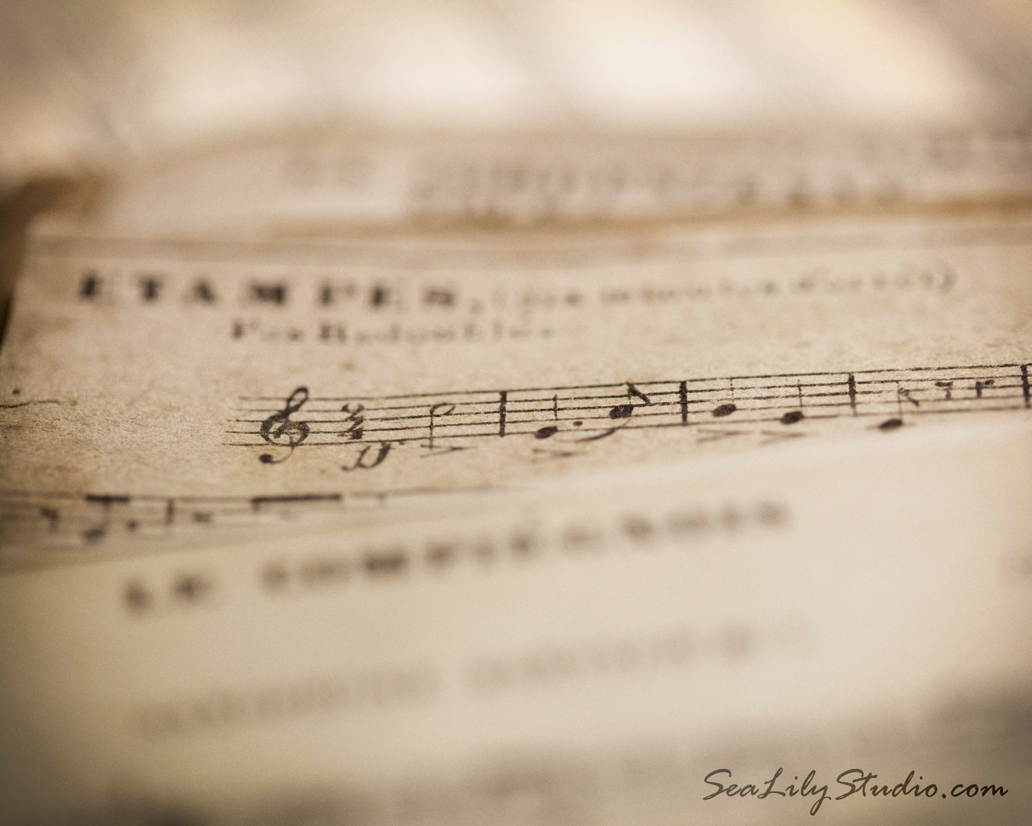 Vintage Sheet Music - 8x10 - Fine Art Print