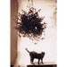 Greeting Cards, "A Sunny Room", Dozen