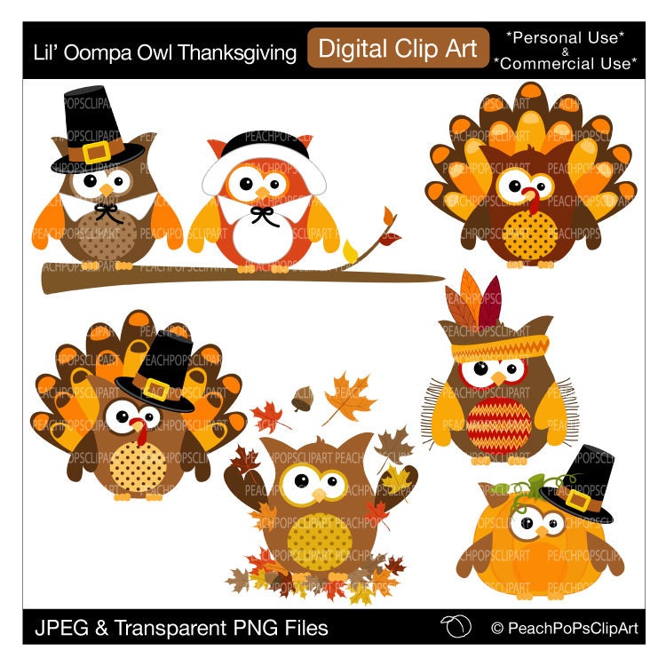 thanksgiving owl clip art - photo #38
