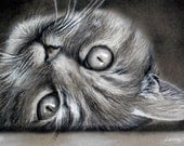 CUSTOM Cat Drawing -  From your photo - 8x10 -  Realistic Hand drawn fine art - Charcoal portrait - 8x10 - Feline, kitten, pet portrait