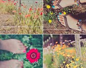 Flowers Everywhere (Set of four 5x5 ) Fine Art Photographs