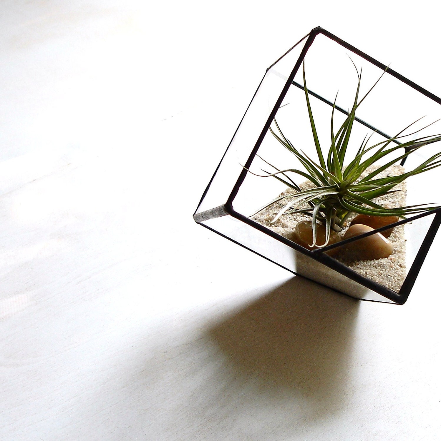 Glass Cube Terrarium, Square Glass Planter with Air Plant, DIY