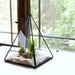 Terrarium, Glass Pyramid Planter with Air Plant, DIY, Desk Accessory