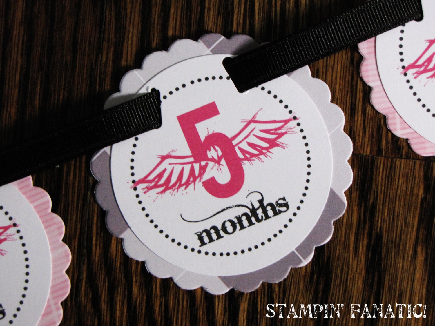 Lil Angel's First Birthday: Just Born/0-12month Rocker First Birthday Photo Picture Banner with attached clips to hang 4x6 pictures. Angel. Il_170x135