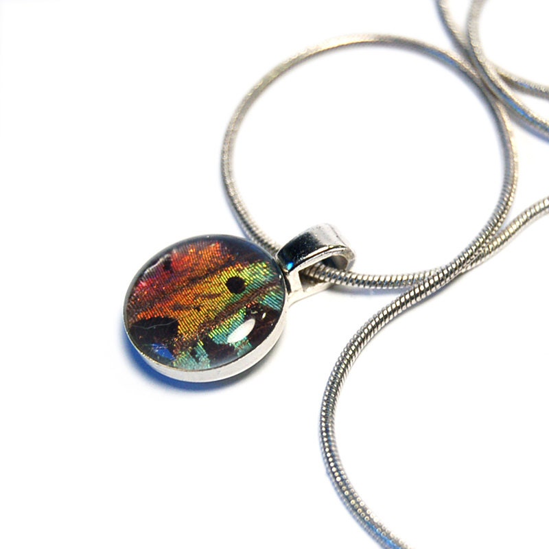 Butterfly Wing Pendant Necklace - Sunset Moth Forewing