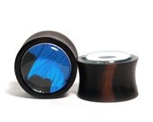 3/4" Custom Butterfly Wing Plugs