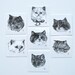 cat temporary tattoo - ONE - single fake cat tatt - 7designs to choose from - realistic tattoo - mix and match - cattoos