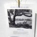 Vintage Paper Ephemera, Black and White Poster, Nature Poster, Optical Illusions In Life, Vintage Poster, 1970s