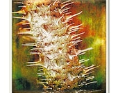 A Thorny Problem - Fine Art Photographic 8x8 inch/ 20.32x20.32 cm Print by Doug Armand on Etsy - DAIP0063