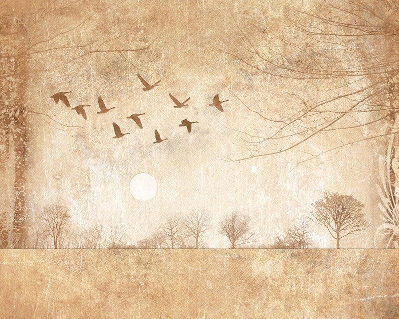 rustic woodland collage, flying geese, warm tone, trees - Northern Morning