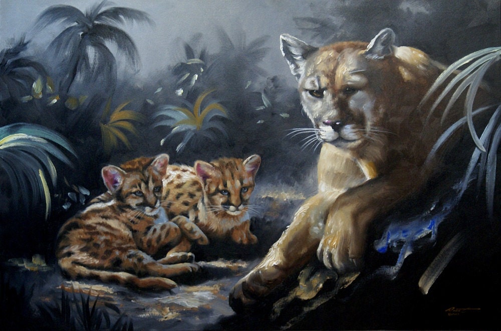 Animal Puma Pictures