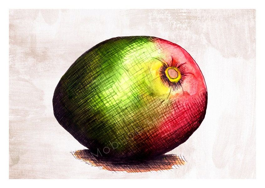 Mango illustration postcard-with envelope-print from original ink and watercolor illustration